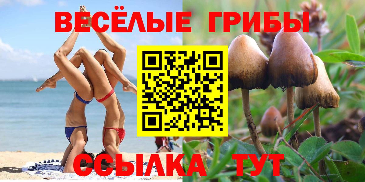 Галлюциногенные грибы ЛСД Брянск